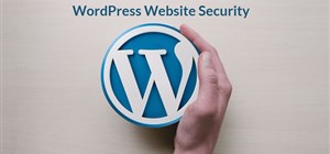 Why are WordPress Websites more prone to being Hacked?